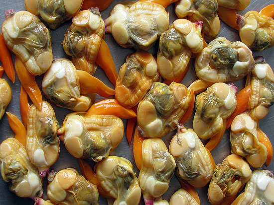 yellow clams
