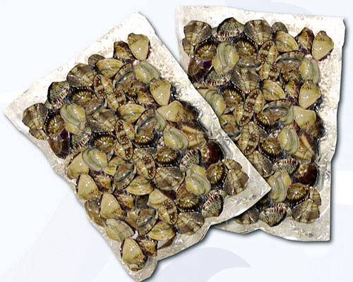 Frozen boiled vacuum clams