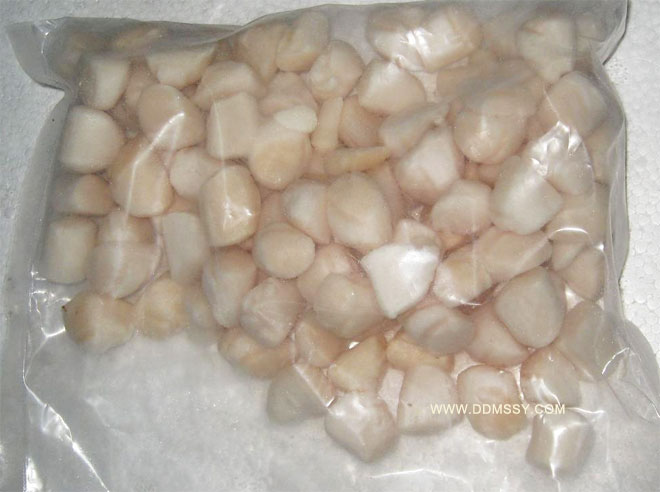 Scallops column