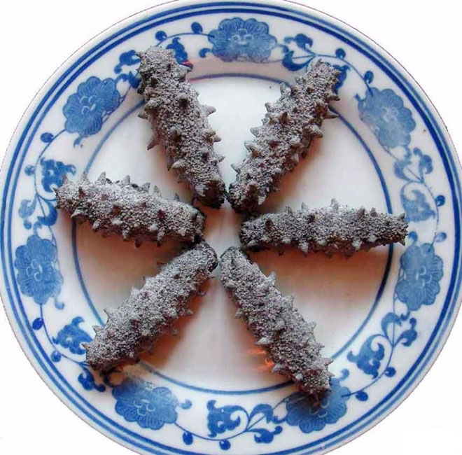 Sea cucumber