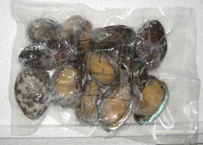 abalone